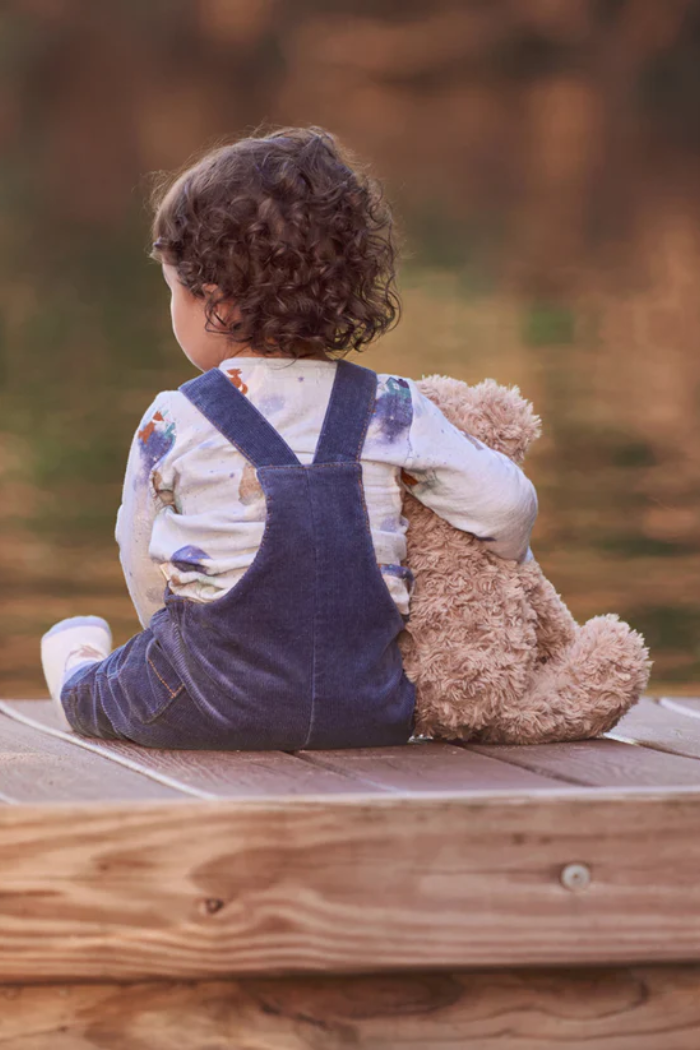 Magical Adventure Print Top and Corduroy Overalls | Elegant Baby