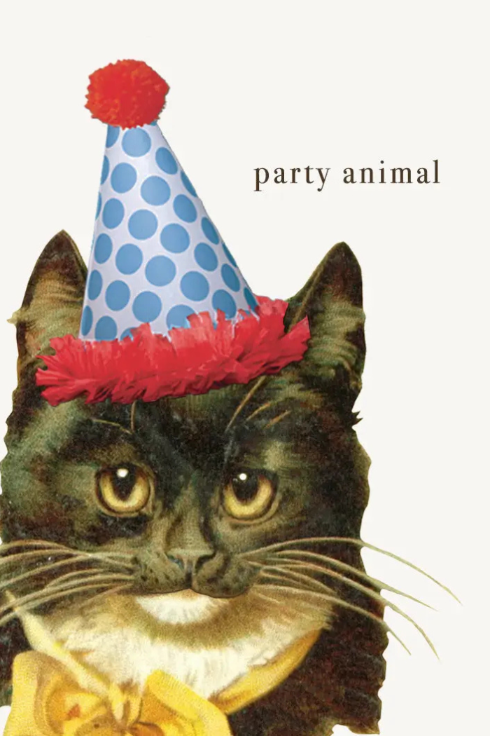 Party Animal • Mini Enclosure Card
