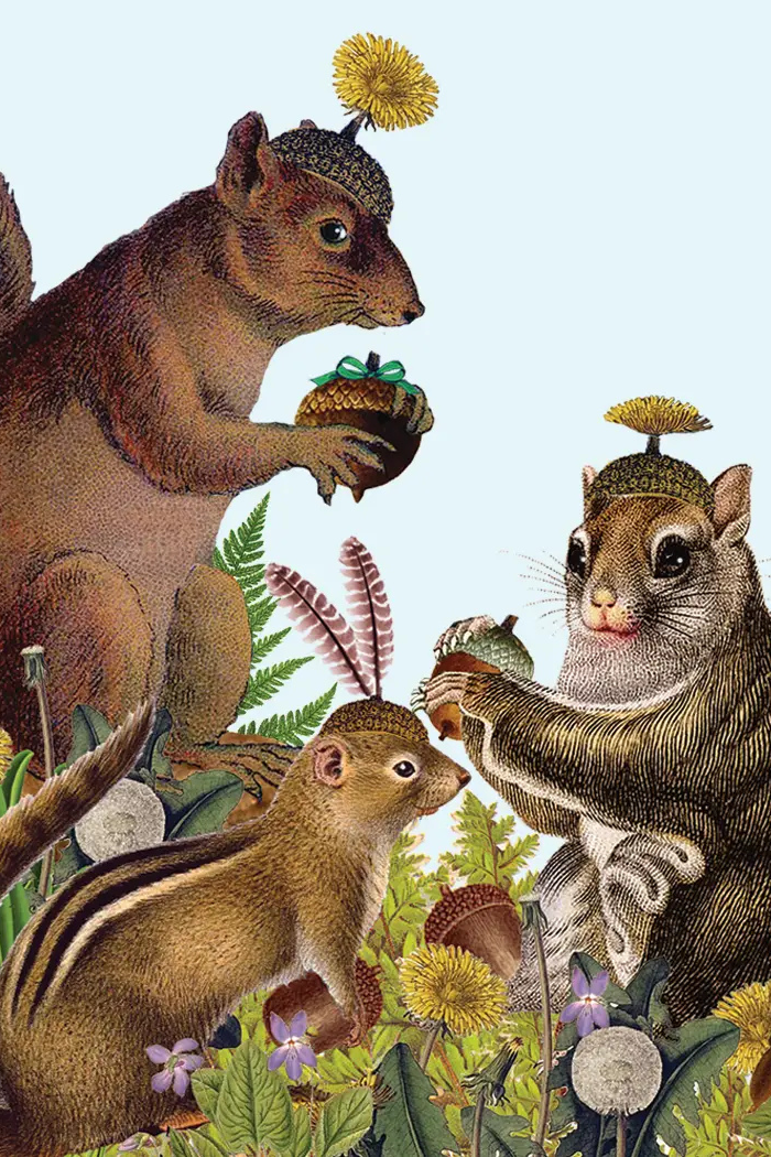 Squirrel Party • Mini Enclosure Card