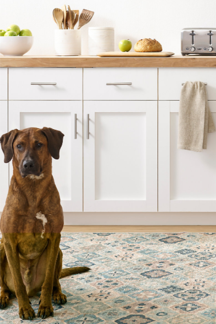 Fresh your home during spring Mud season 
