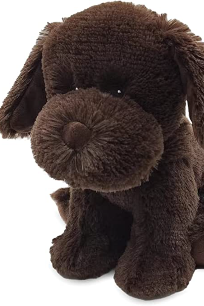 Chocolate Labrador | Warmies