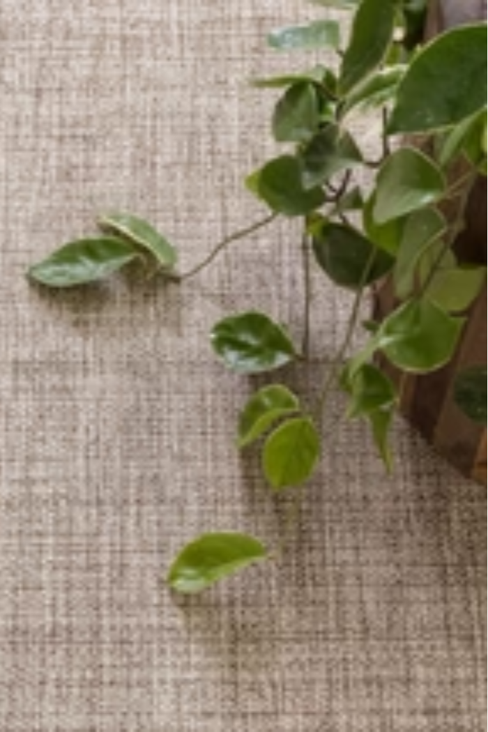 Marled Handwoven Cotton Rug | Dash & Albert