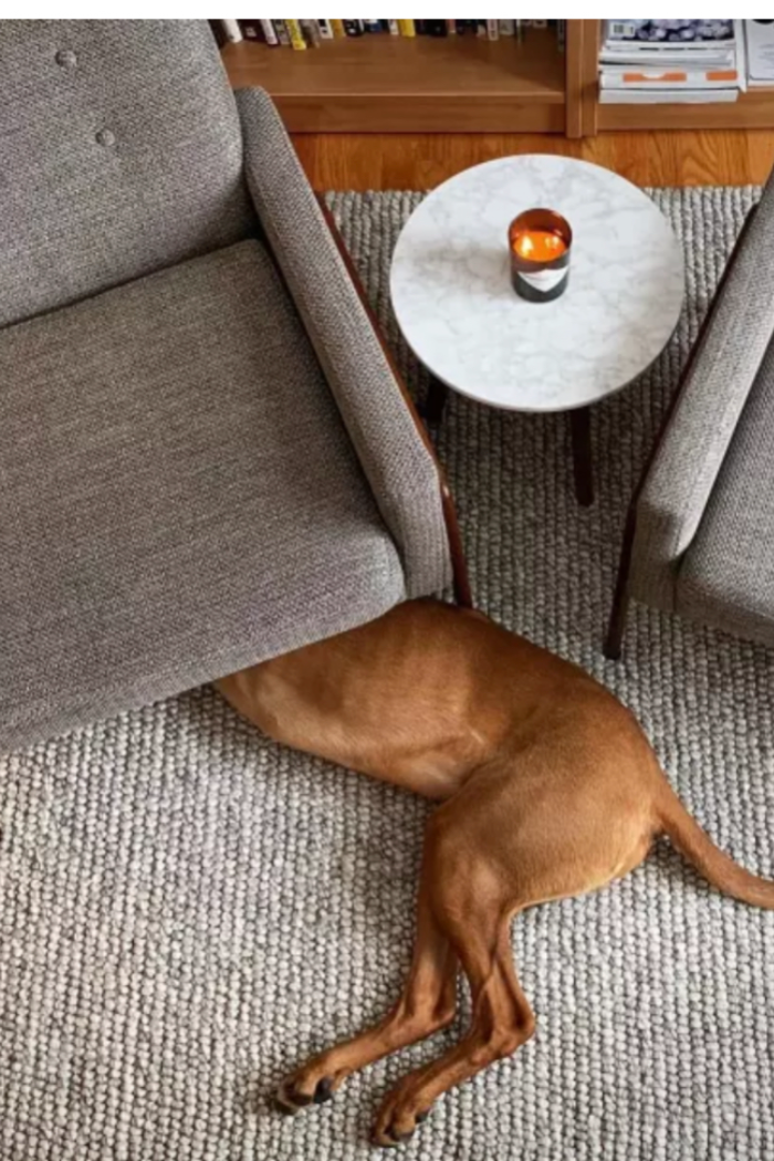 Niels Handwoven Wool & Viscose Rug | Dash & Albert
