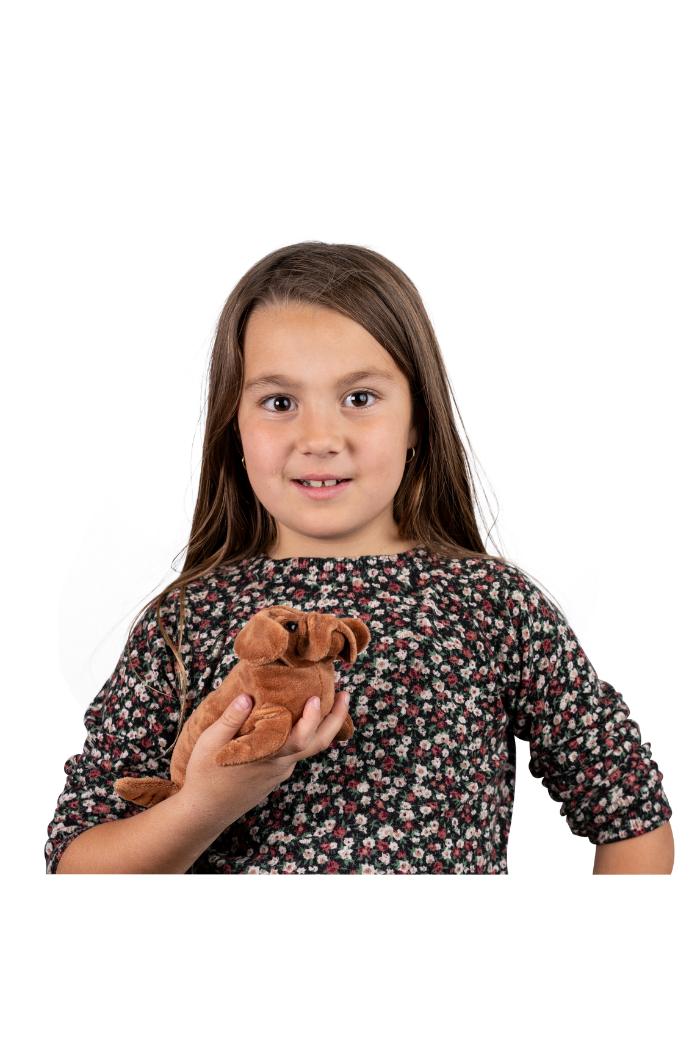 Randimals Sea-Dawg  Floppy Mini  Stuffed Toy