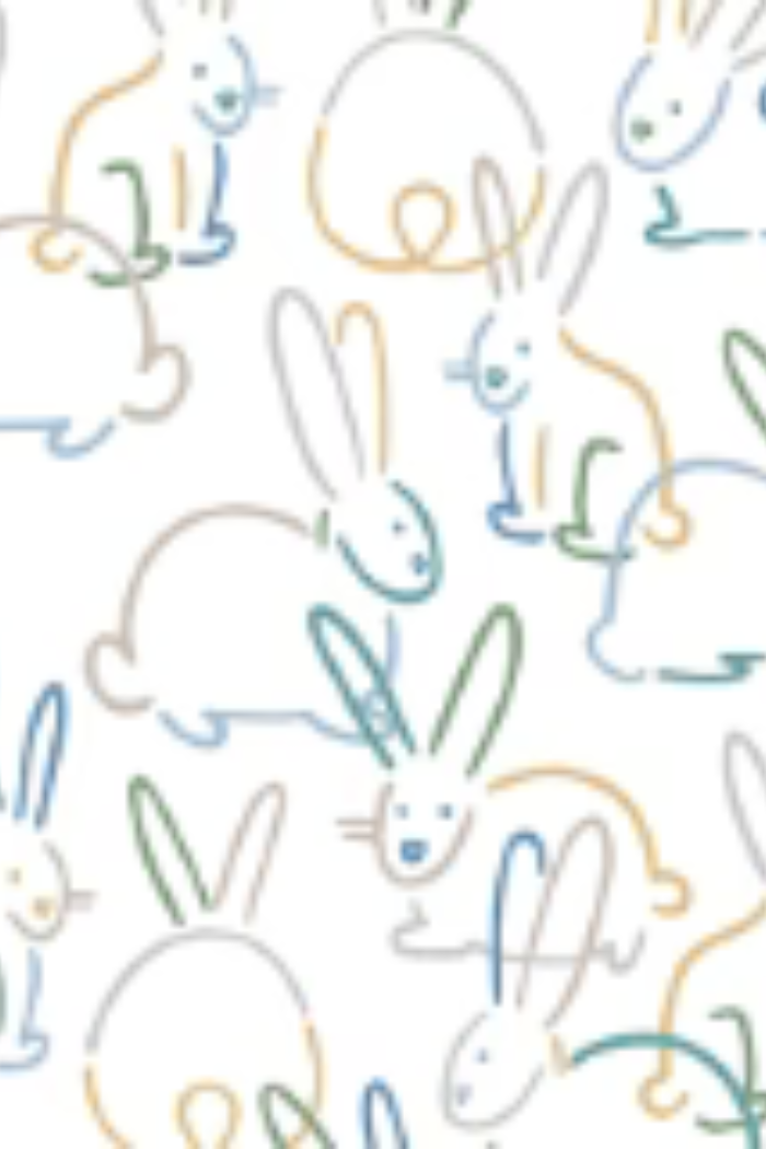 Organic Cotton Bunnies Footie Unisex