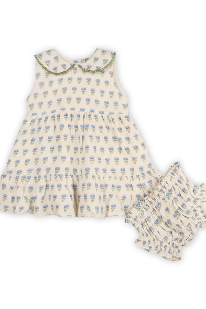 Harper Peter Pan Collar Floral Baby Flare Dress + Bloomer