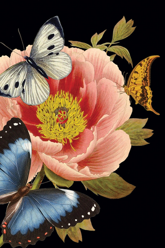 Poppy (Peony) • Mini Enclosure Card