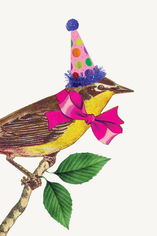 Birthday Bird • Mini Enclosure Card