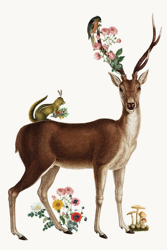 Deer• Mini Enclosure Card