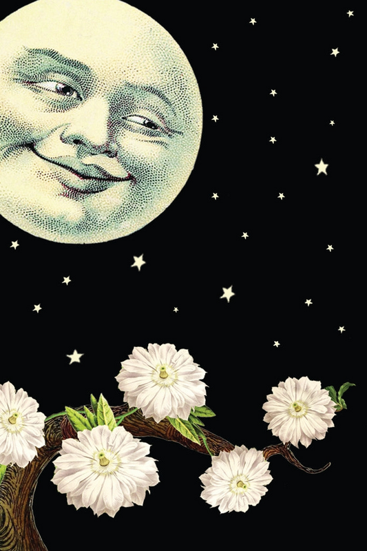 Moon-Mini Enclosure Card