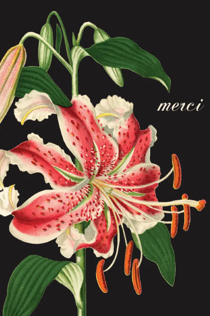 Merci Lily • Mini Enclosure Card