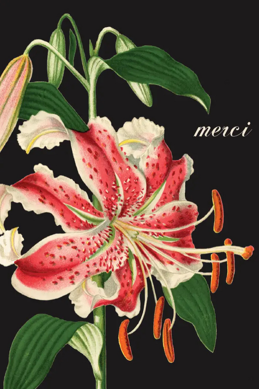 Merci Lily • Mini Enclosure Card