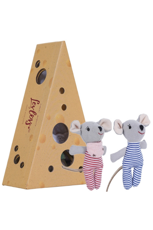 Baby Mice in Cheese Box