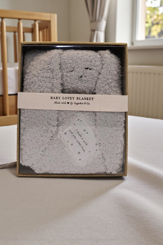 I Made A Wish and You Came True. Bunny Baby Lovey Blanket