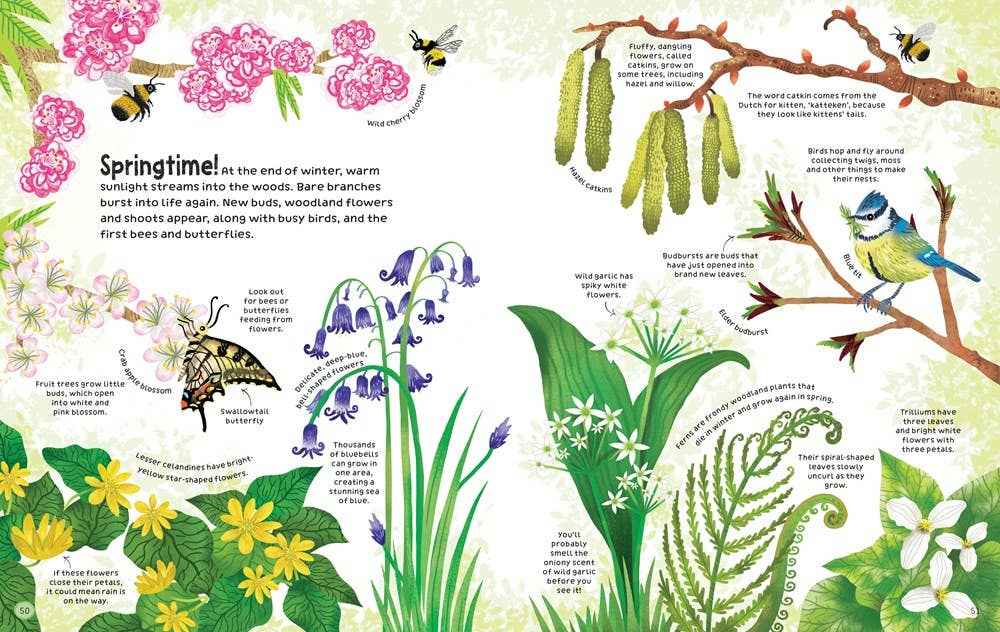 Woodland book : usborne