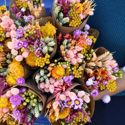 Penny + Clover - Dried Flowers - Market Bouquet - Sunny Delight