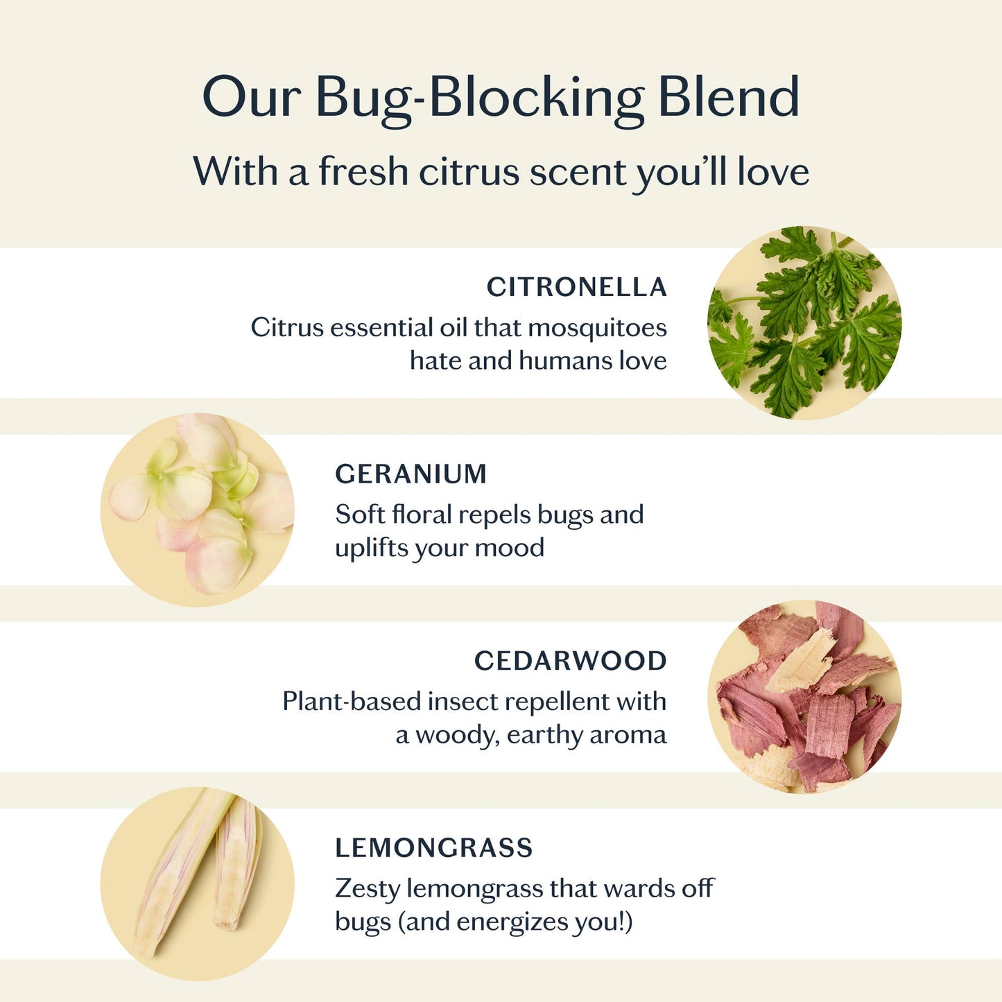 The Bug Balm | All-Natural Insect Repellent | Kate McLeod
