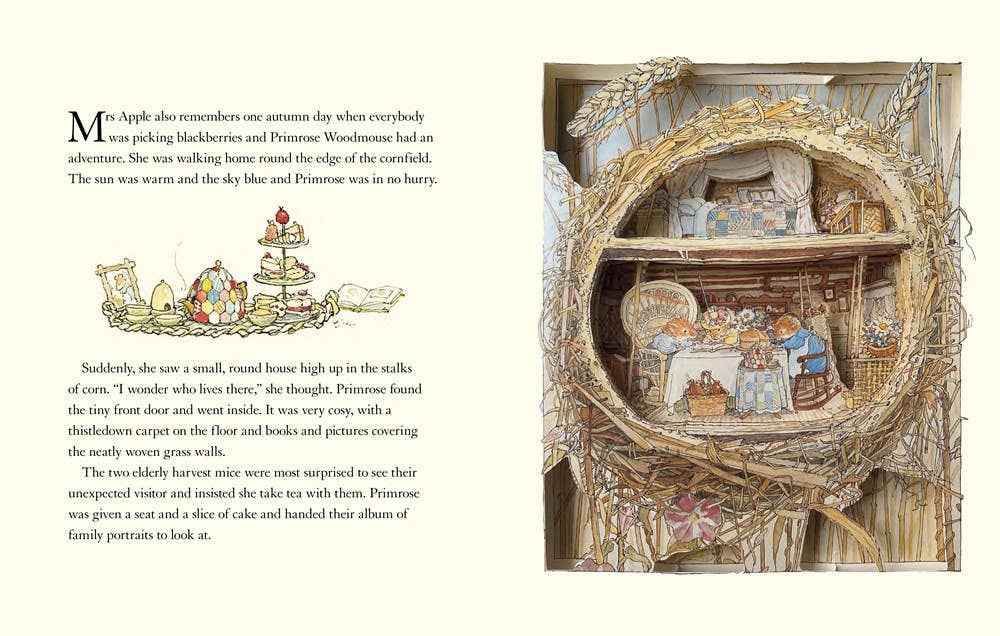 Brambly hedge pop-up book, the: jill barklem