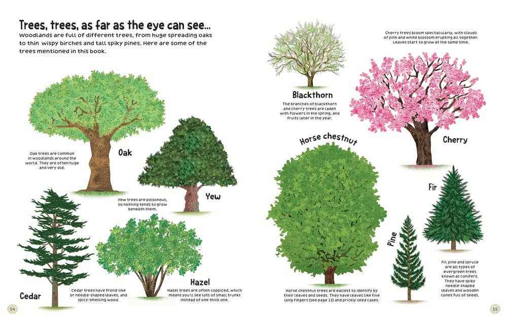 Woodland book : usborne