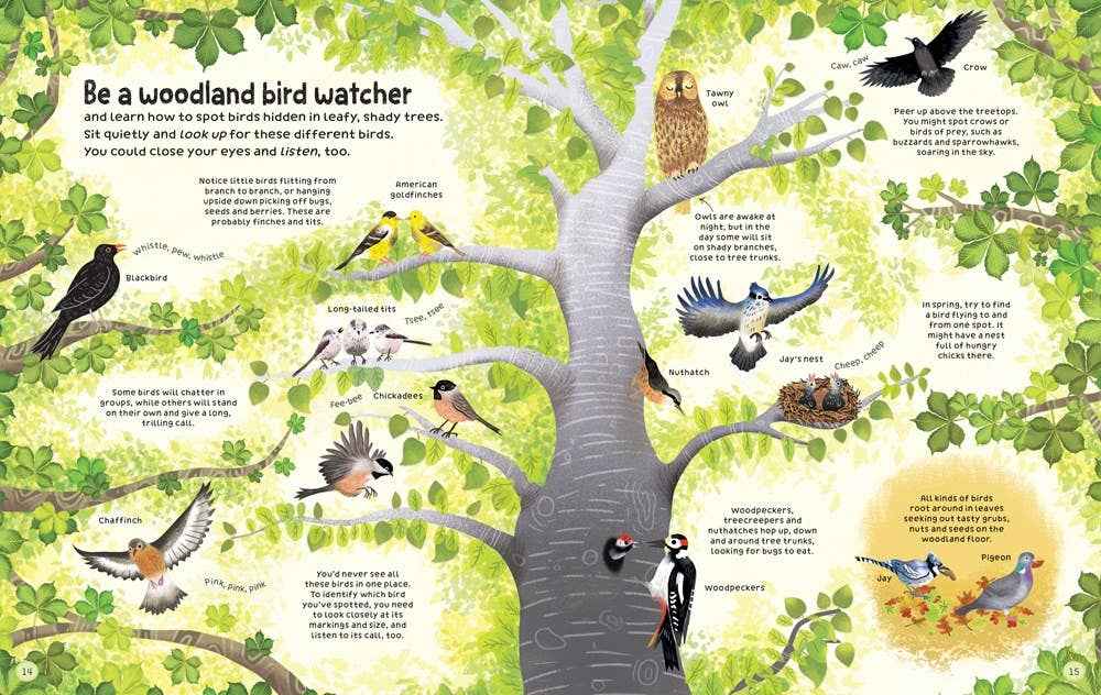 Woodland book : usborne