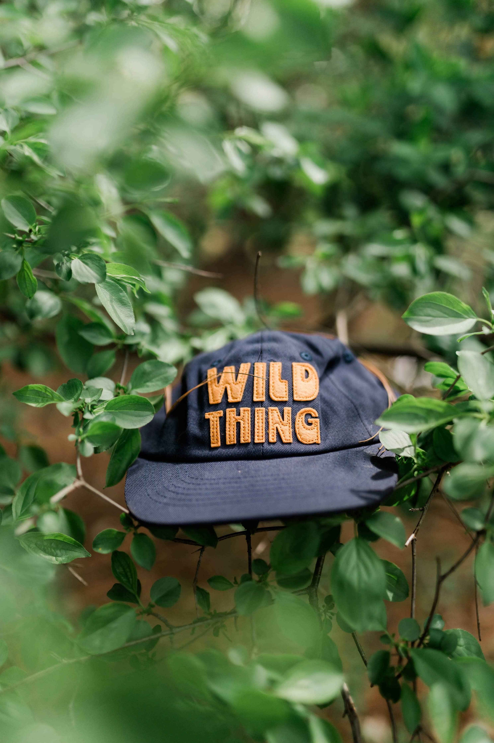Baby/toddler & youth hat | wild thing