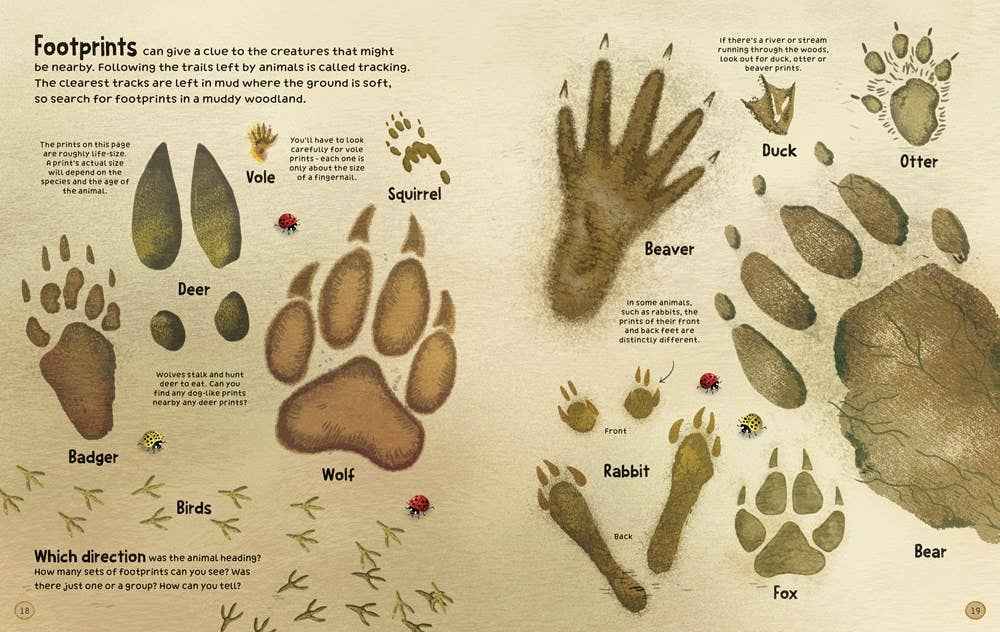 Woodland book : usborne