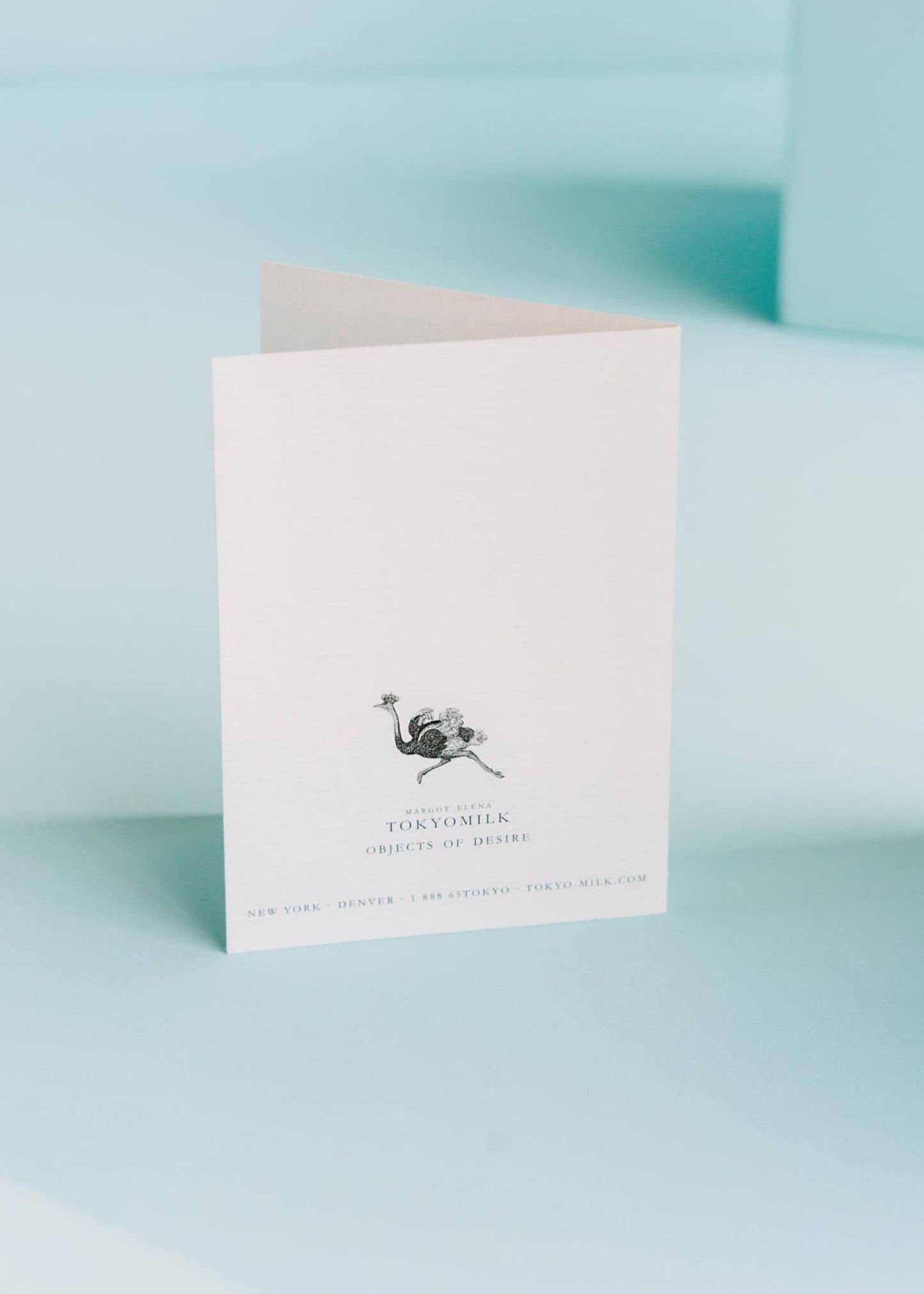 Congrats Grad Greeting Card