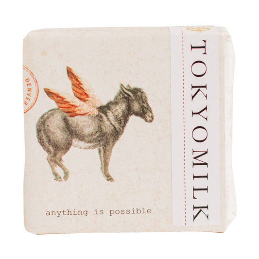 Anything Is Possible Shea Butter Soap